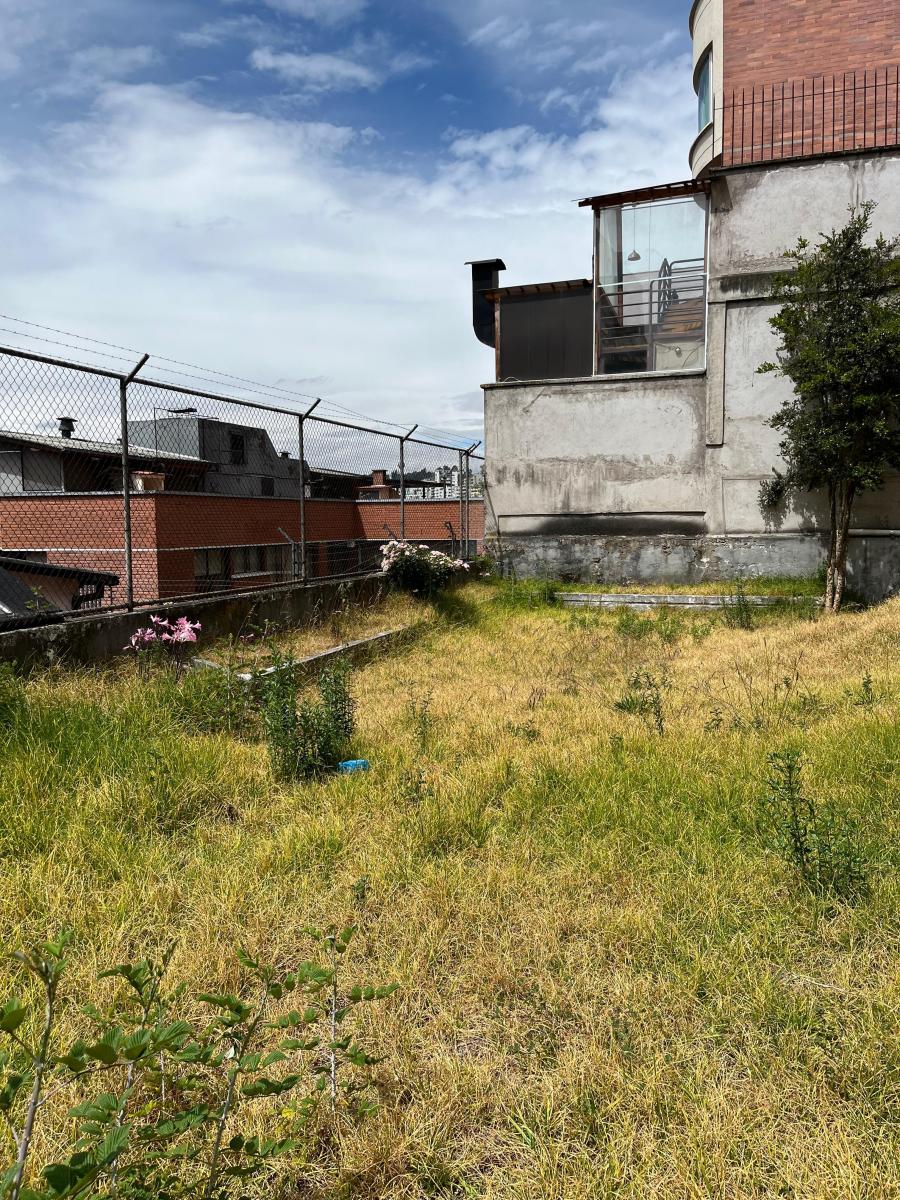 Quito Tenis Terreno de Venta 667 m² — imagen 3