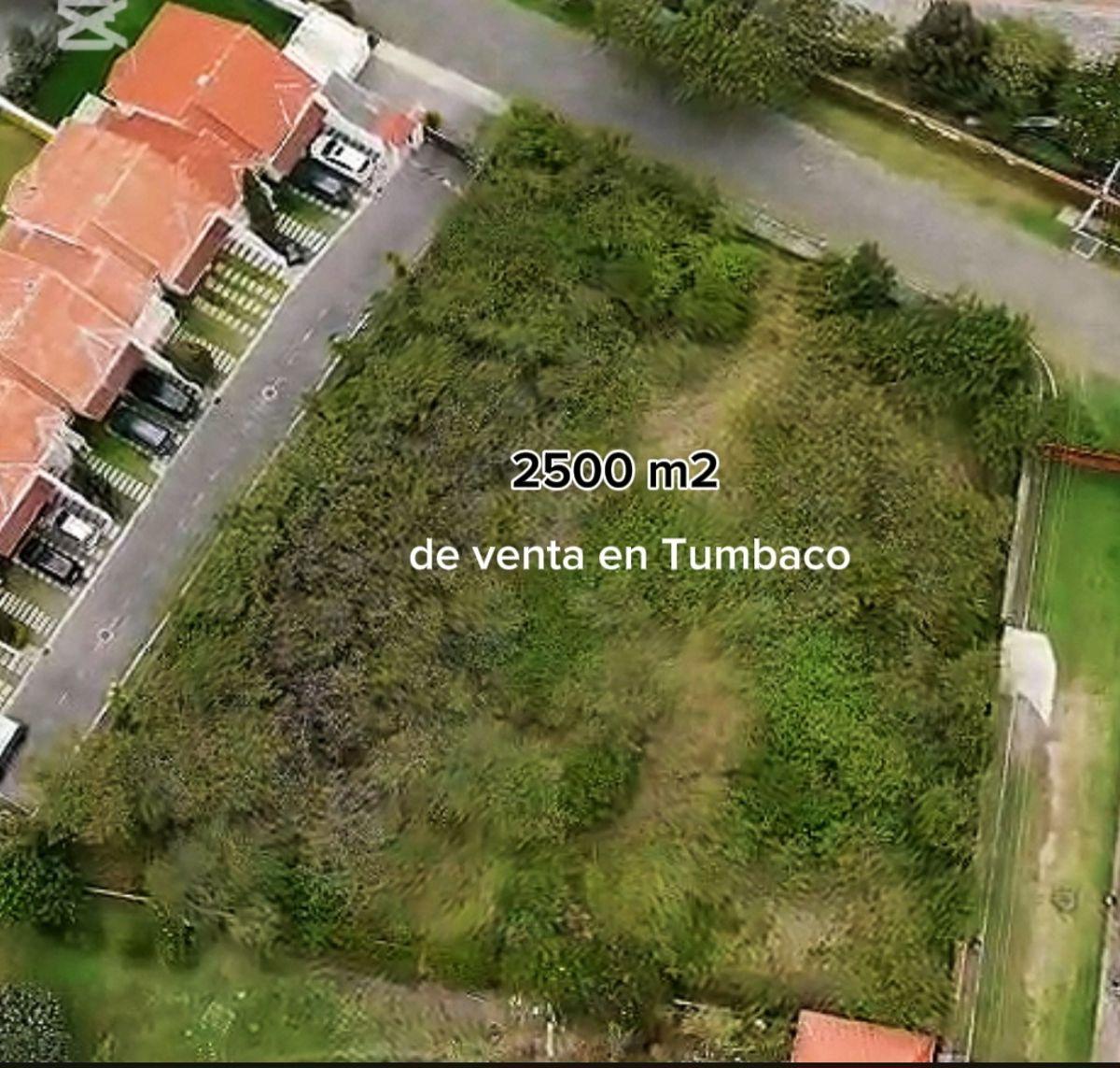 Terreno de 2500 m² en Venta en Tumbaco Urb Privada, Vista — imagen 4