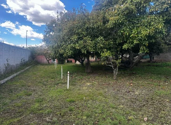 Terreno en venta en Ruta Viva — imagen 3