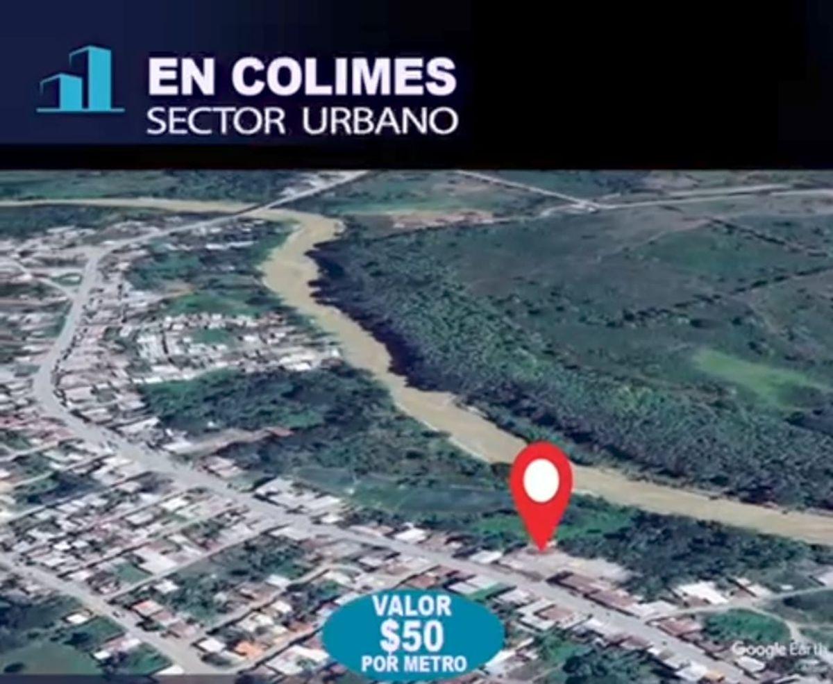 Colimes, Hermosa Propiedad en Venta, 5.4 Hectáreas de Terreno Plano, Ideal Proyecto Inmobiliario, Guayas — imagen 8