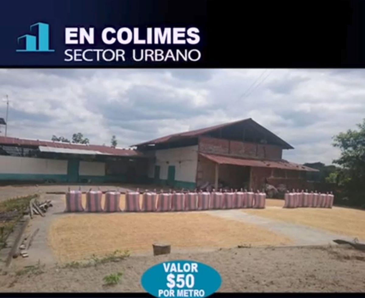 Colimes, Hermosa Propiedad en Venta, 5.4 Hectáreas de Terreno Plano, Ideal Proyecto Inmobiliario, Guayas — imagen 7