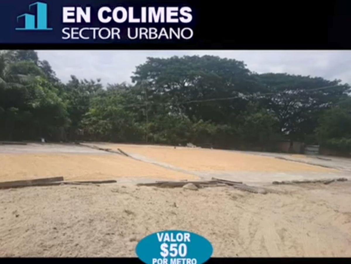 Colimes, Hermosa Propiedad en Venta, 5.4 Hectáreas de Terreno Plano, Ideal Proyecto Inmobiliario, Guayas — imagen 6