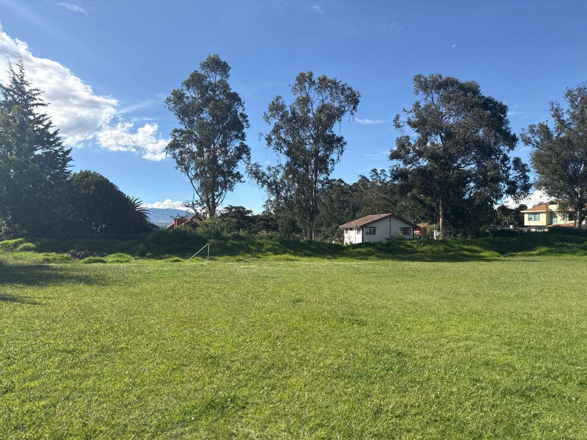 Terreno en Venta Sector Tumbaco Quito Ecuador — imagen 4