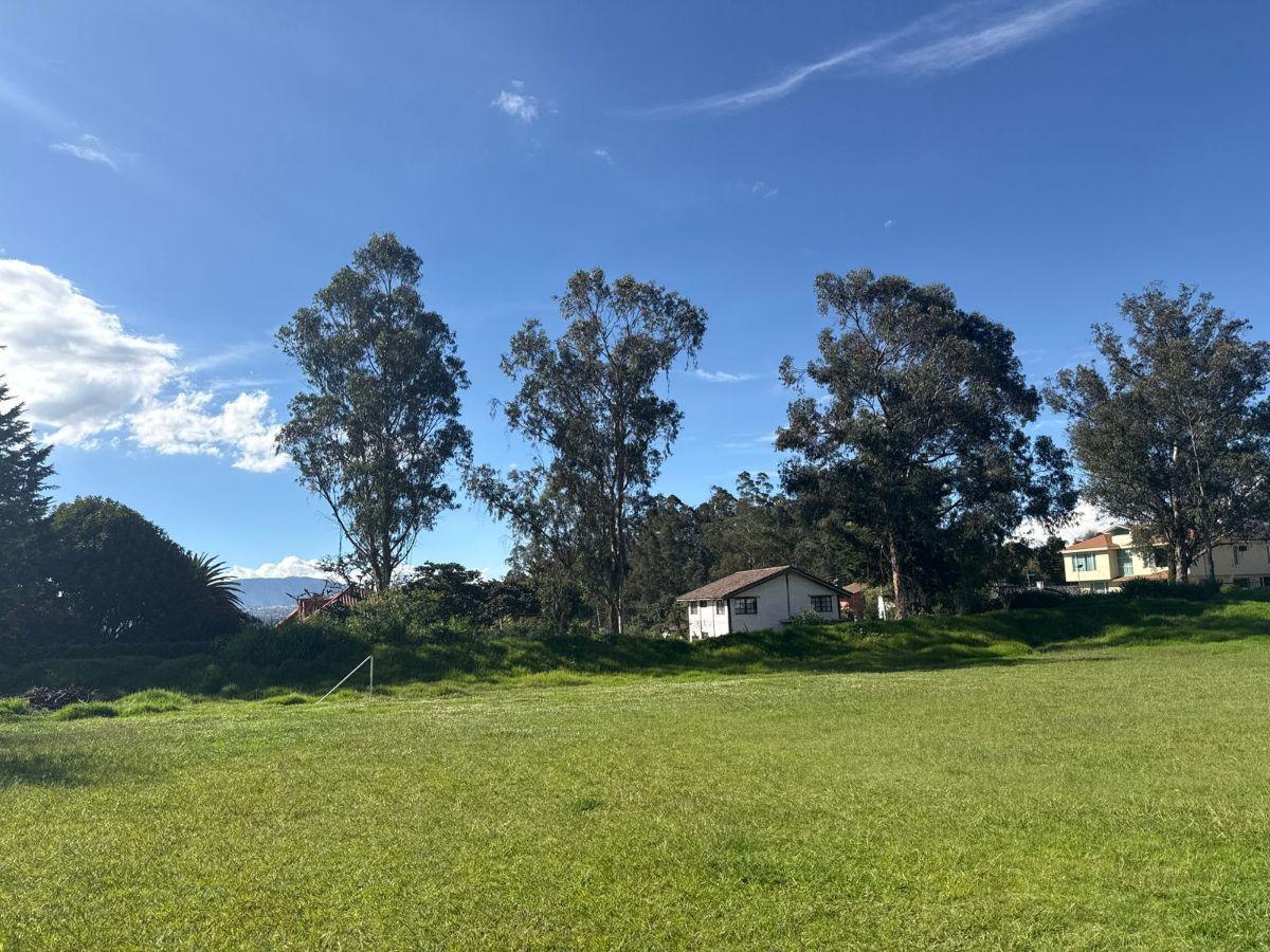 Terreno en Venta Sector Tumbaco Quito Ecuador — imagen 2