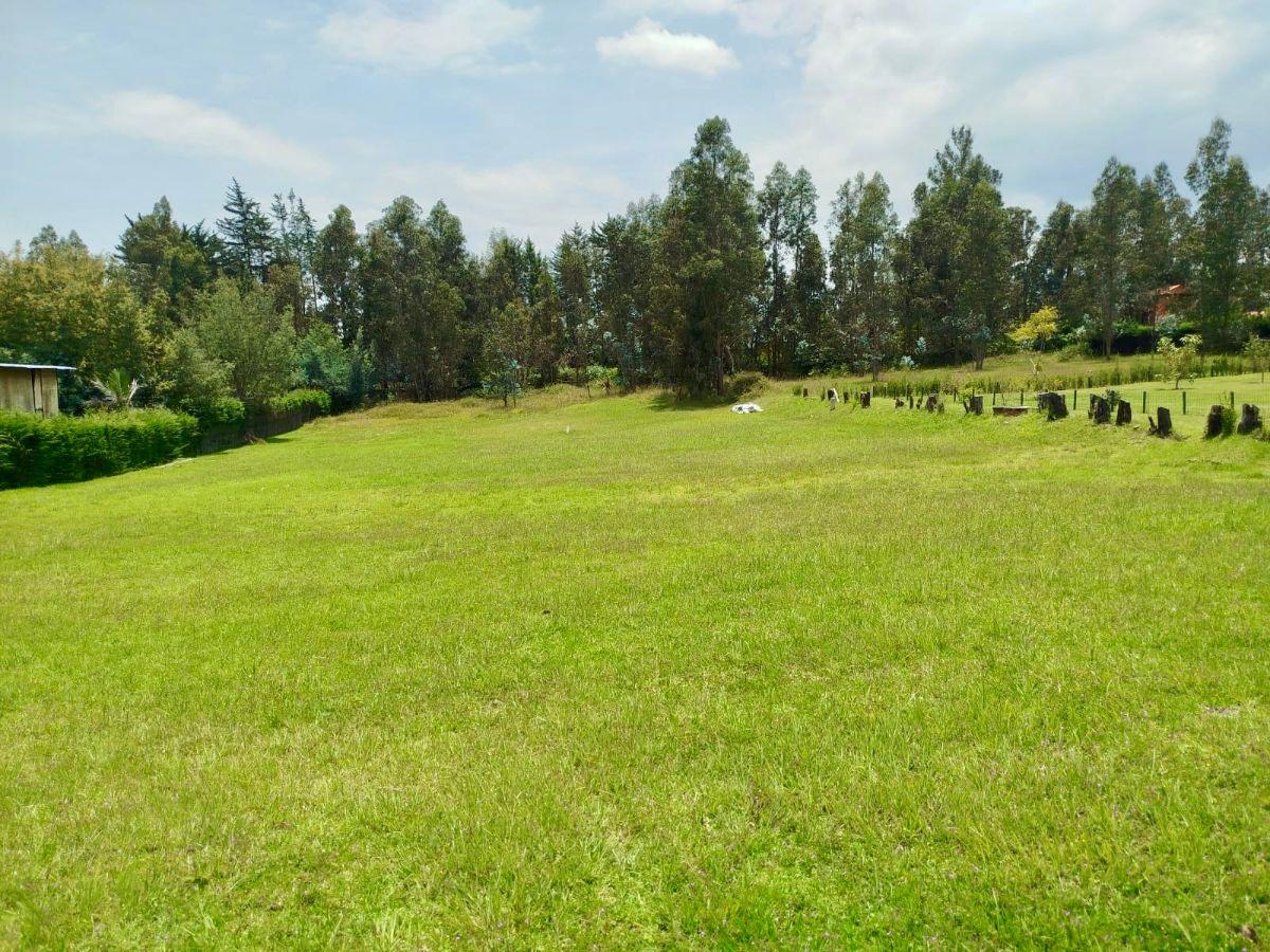 Venta Tumbaco La Morita Terreno Plano en Conjunto de 8 Casas — imagen 9