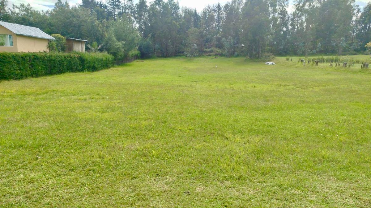Venta Tumbaco La Morita Terreno Plano en Conjunto de 8 Casas — imagen 7