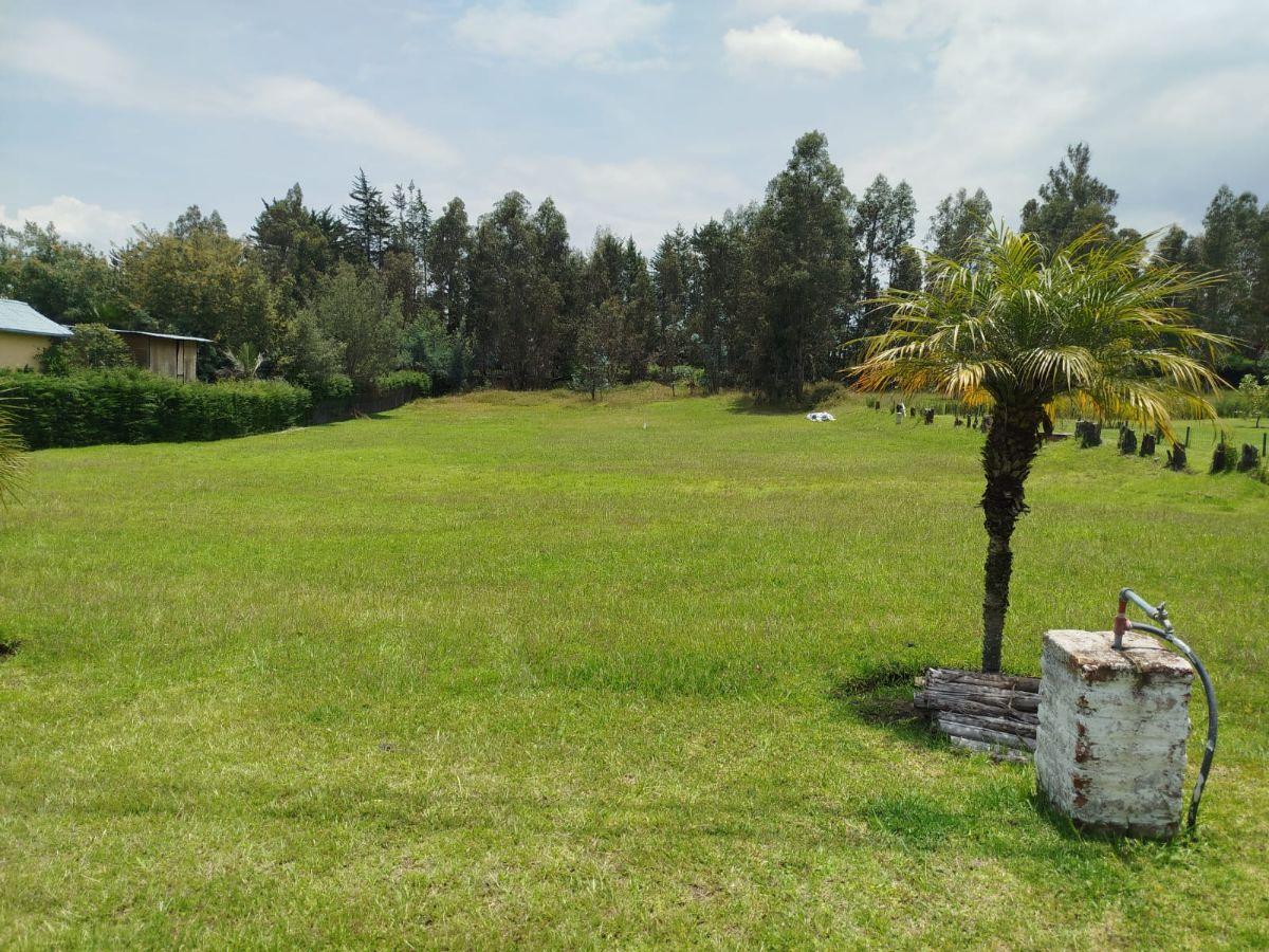 Venta Tumbaco La Morita Terreno Plano en Conjunto de 8 Casas — imagen 6