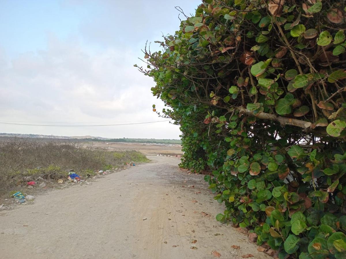 En Venta Terreno Esquinero en Punta Carnero, Salinas a Media Cuadra de La Playa — imagen 7