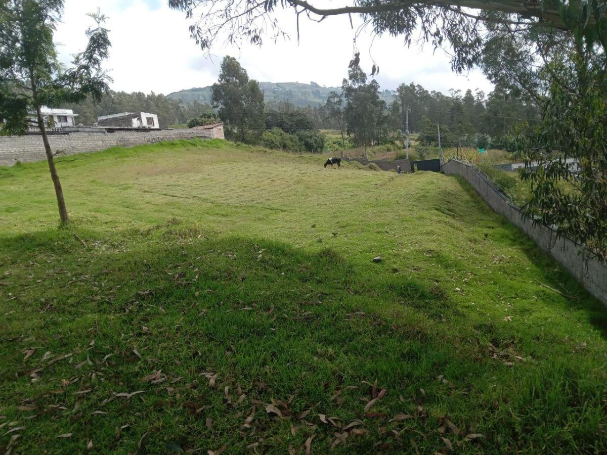 Terreno en Venta, Conocoto, Sector Ontaneda Alto, Valle de Los Chillos — imagen 7