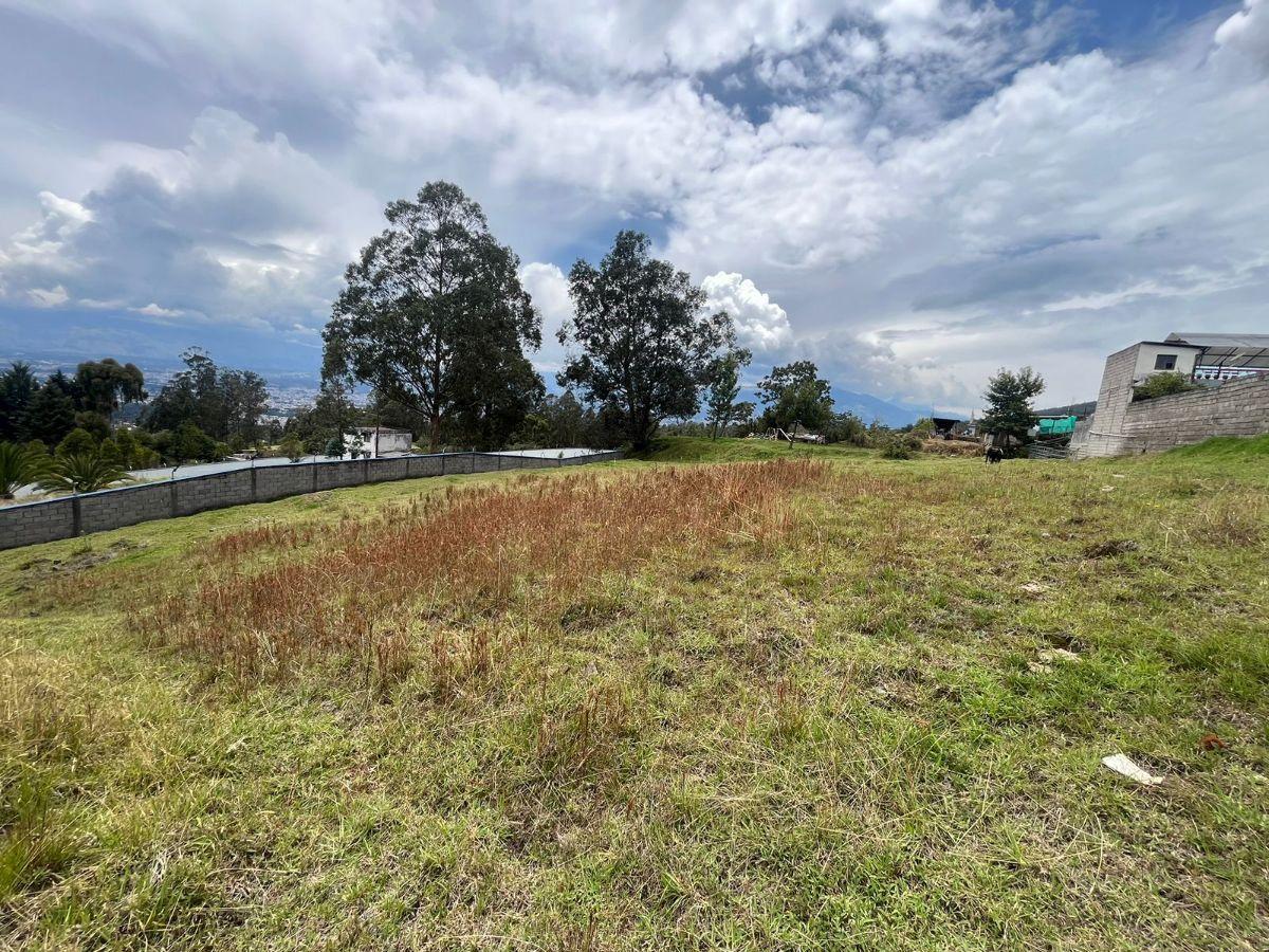 Terreno en Venta, Conocoto, Sector Ontaneda Alto, Valle de Los Chillos — imagen 6