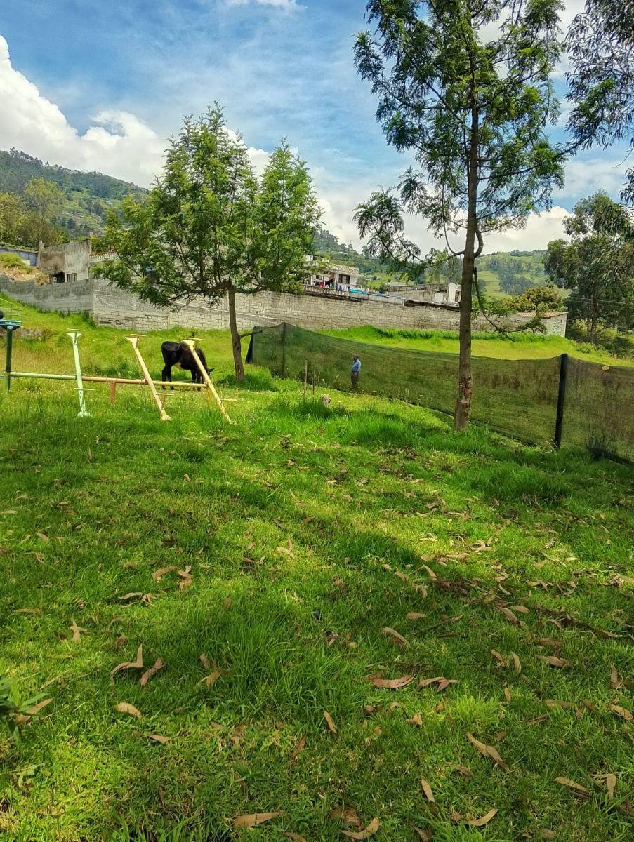 Terreno en Venta, Conocoto, Sector Ontaneda Alto, Valle de Los Chillos — imagen 2