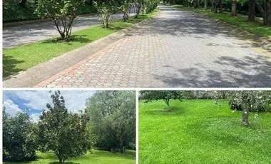 Terreno en venta en Cumbaya — imagen 5