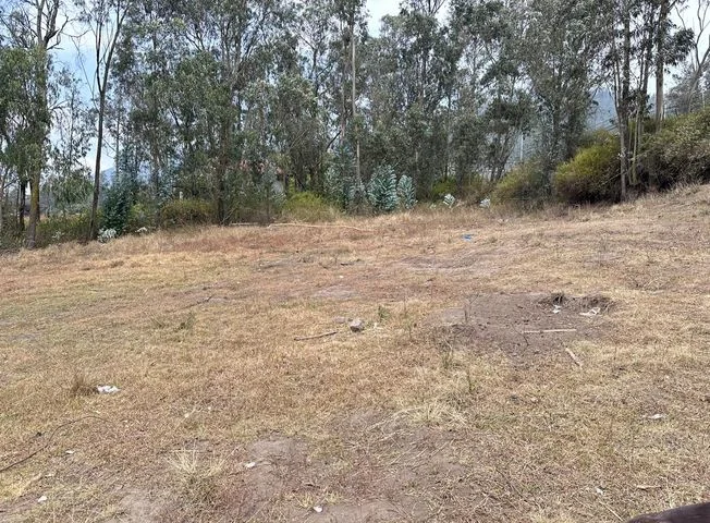 Terreno en venta en Cumbaya — imagen 3
