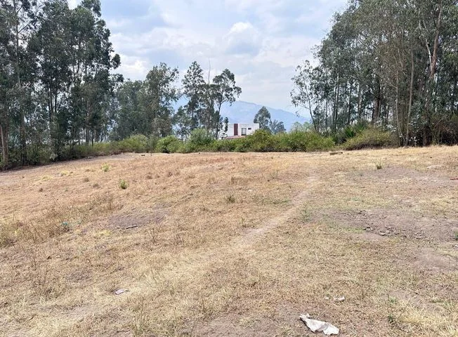 Terreno en venta en Cumbaya — imagen 2