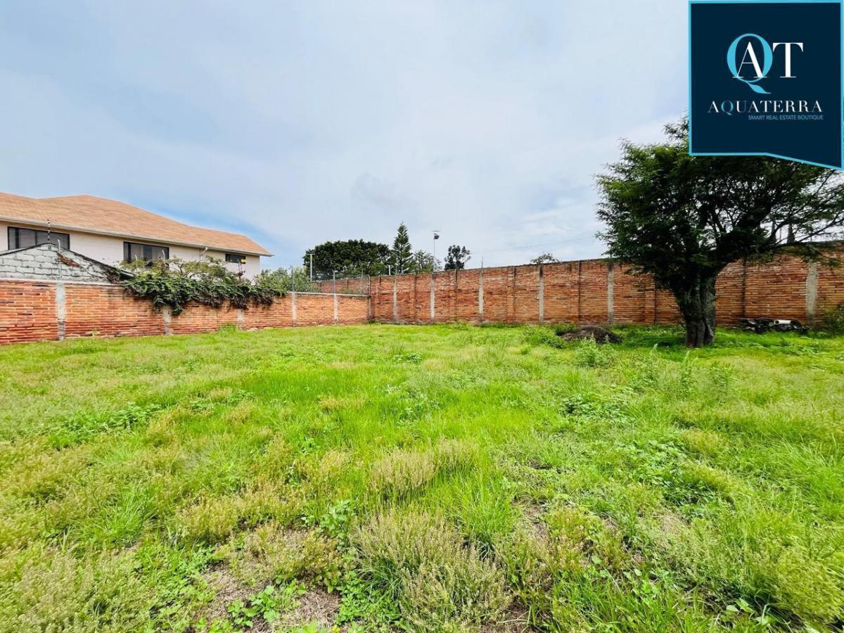 Terreno en Tumbaco — imagen 2