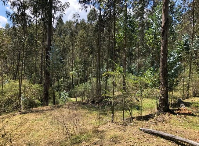 Terreno en venta en Píntag — imagen 1