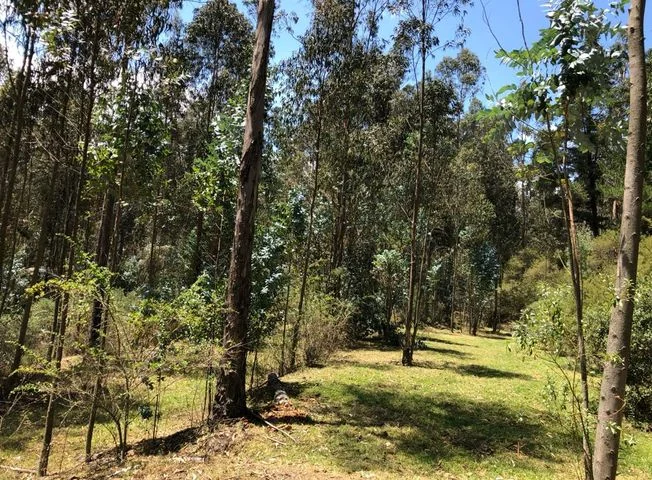 Terreno en venta en Píntag — imagen 3