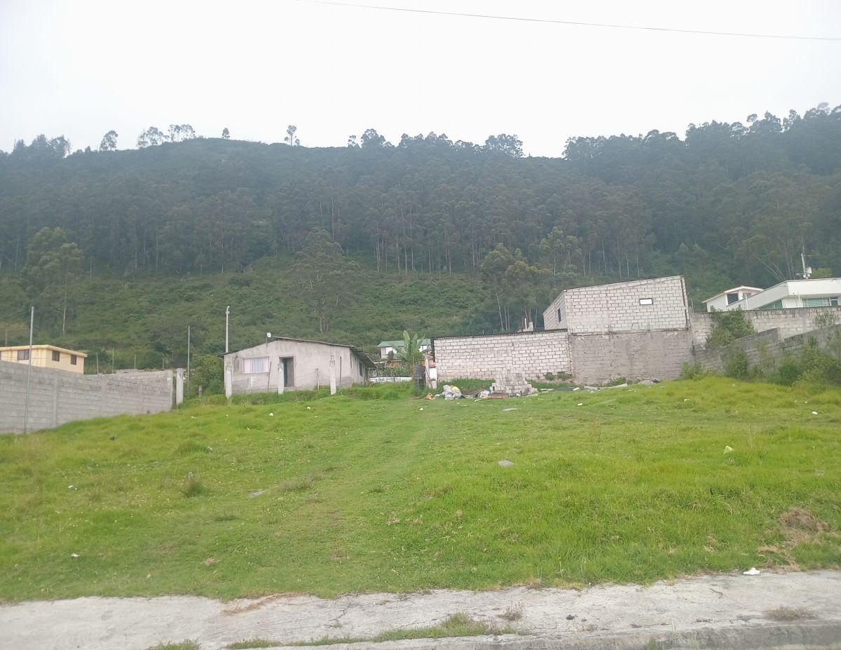 Terreno 992 m² Conocoto - Monserrat | Ideal Proyecto Residencial o Quinta | $79.000 — imagen 7