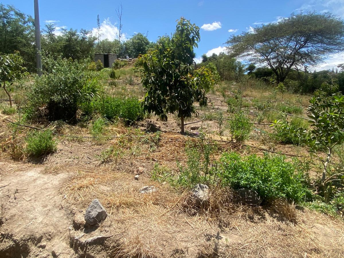 Guayllabamba Terreno 14.300 m² de Venta — imagen 10