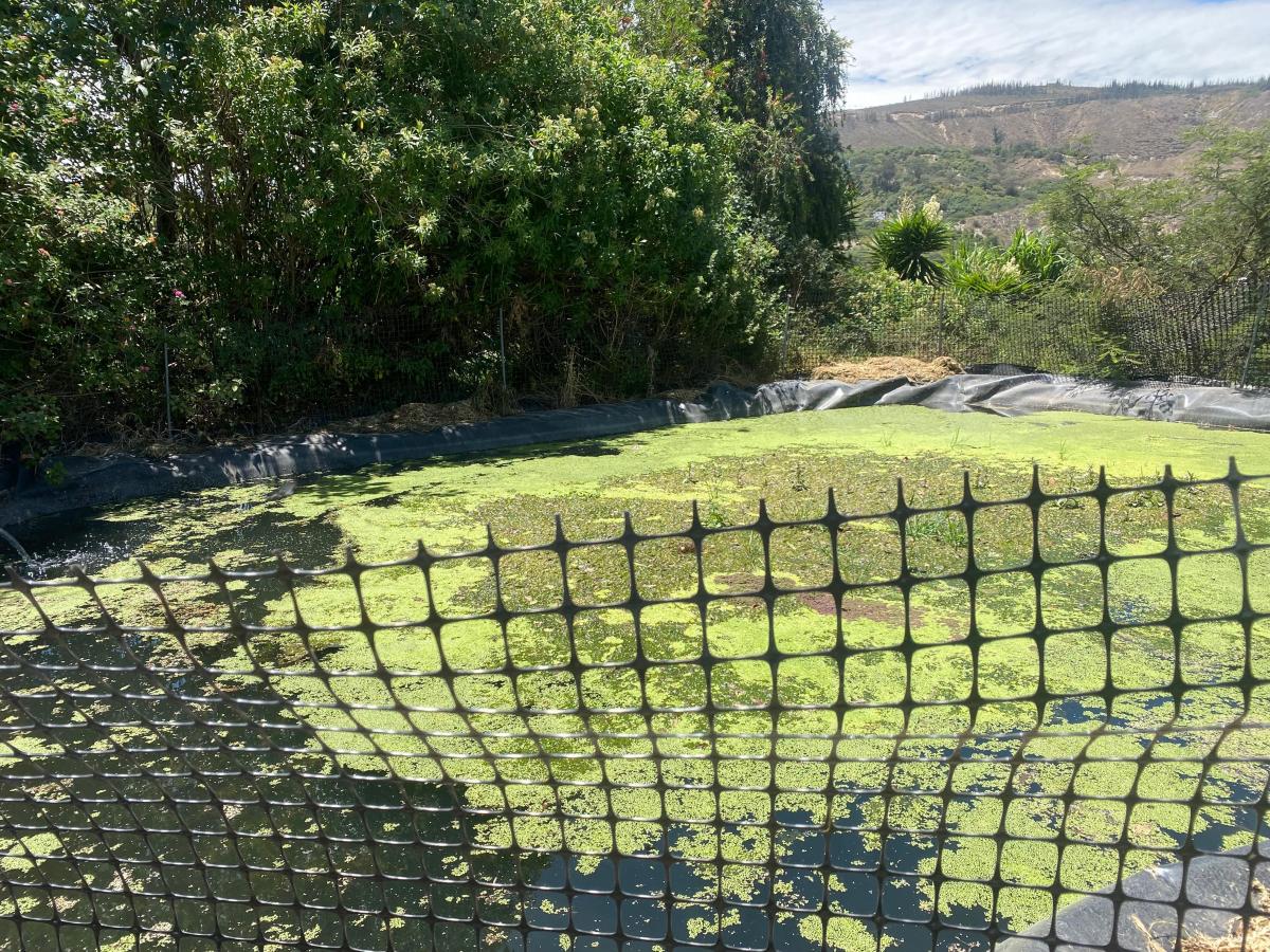 Guayllabamba Terreno 14.300 m² de Venta — imagen 8