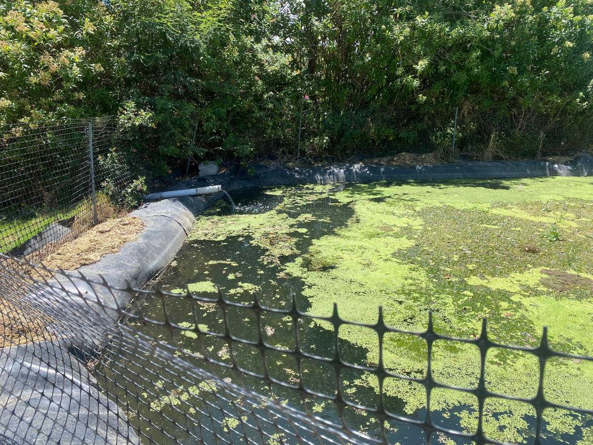 Guayllabamba Terreno 14.300 m² de Venta — imagen 7