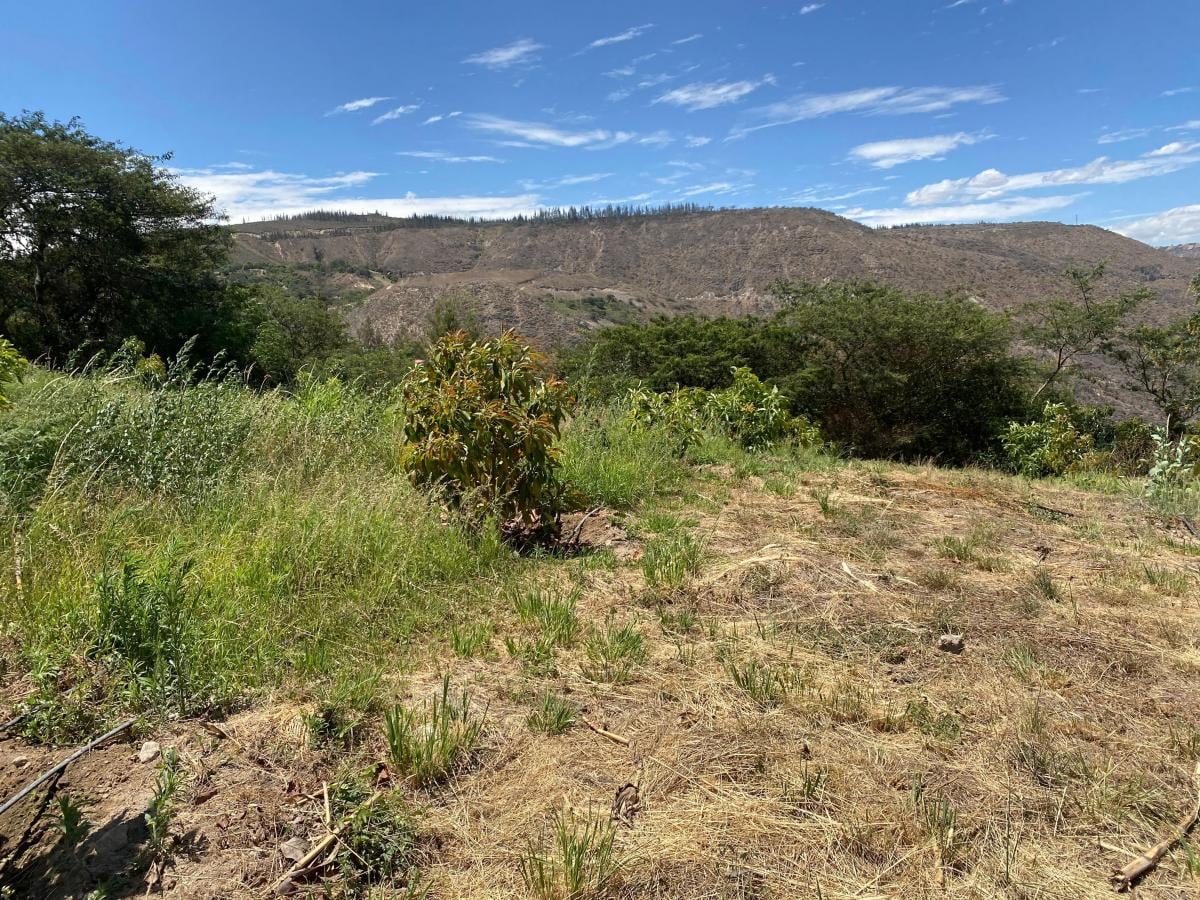 Guayllabamba Terreno 14.300 m² de Venta — imagen 2