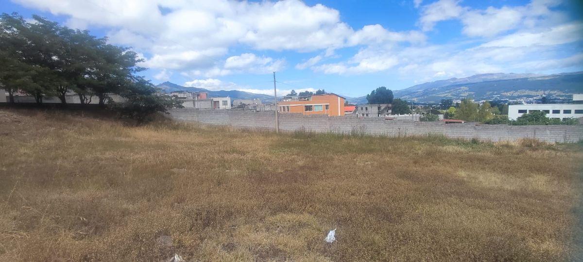 Oportunidad Para Constructoras E Inversionistas | Terreno de 1.200 m² con Proyecto Aprobado. Colibrí — imagen 4
