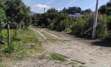 Terreno en venta en Guayllabamba — imagen 5