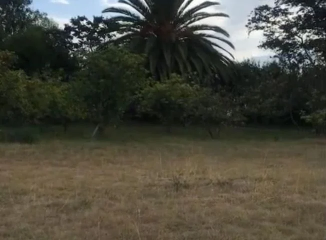 Terreno en venta en Guayllabamba — imagen 3