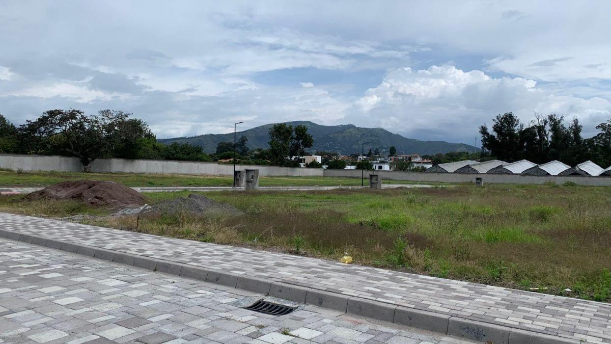 Terreno de 630 m² en Venta en Tumbaco — imagen 8