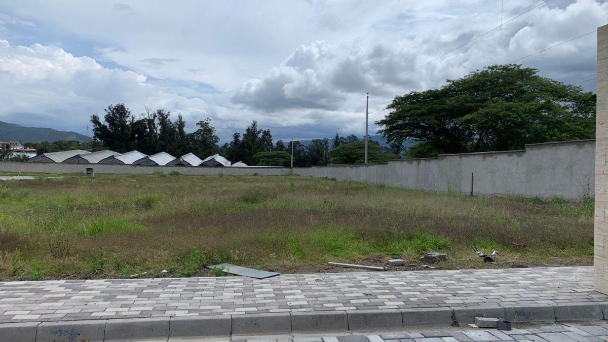 Terreno de 630 m² en Venta en Tumbaco — imagen 7