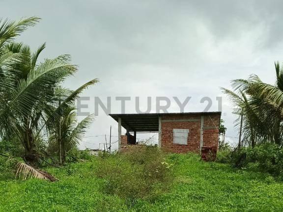 Venta de Una Hectárea en El Sitio Manantiales de Montecristi Lista Para Fincar, Manabí — imagen 4