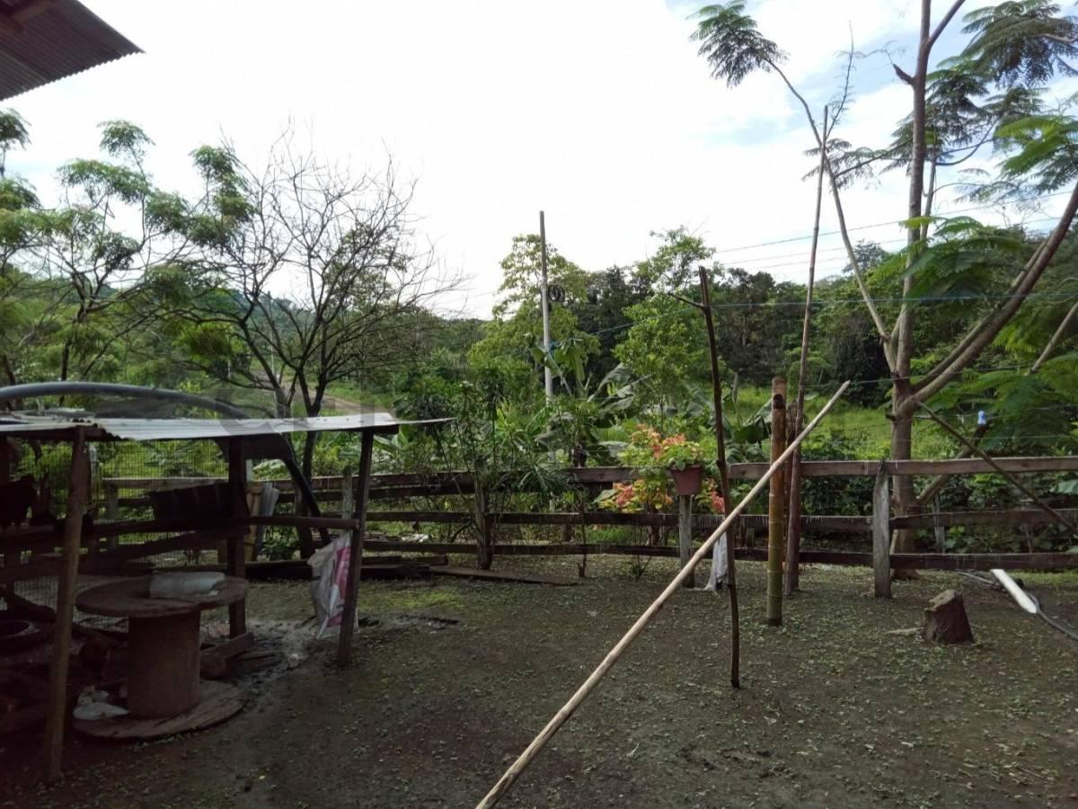 Venta de Una Hectárea en El Sitio Manantiales de Montecristi Lista Para Fincar, Manabí — imagen 3