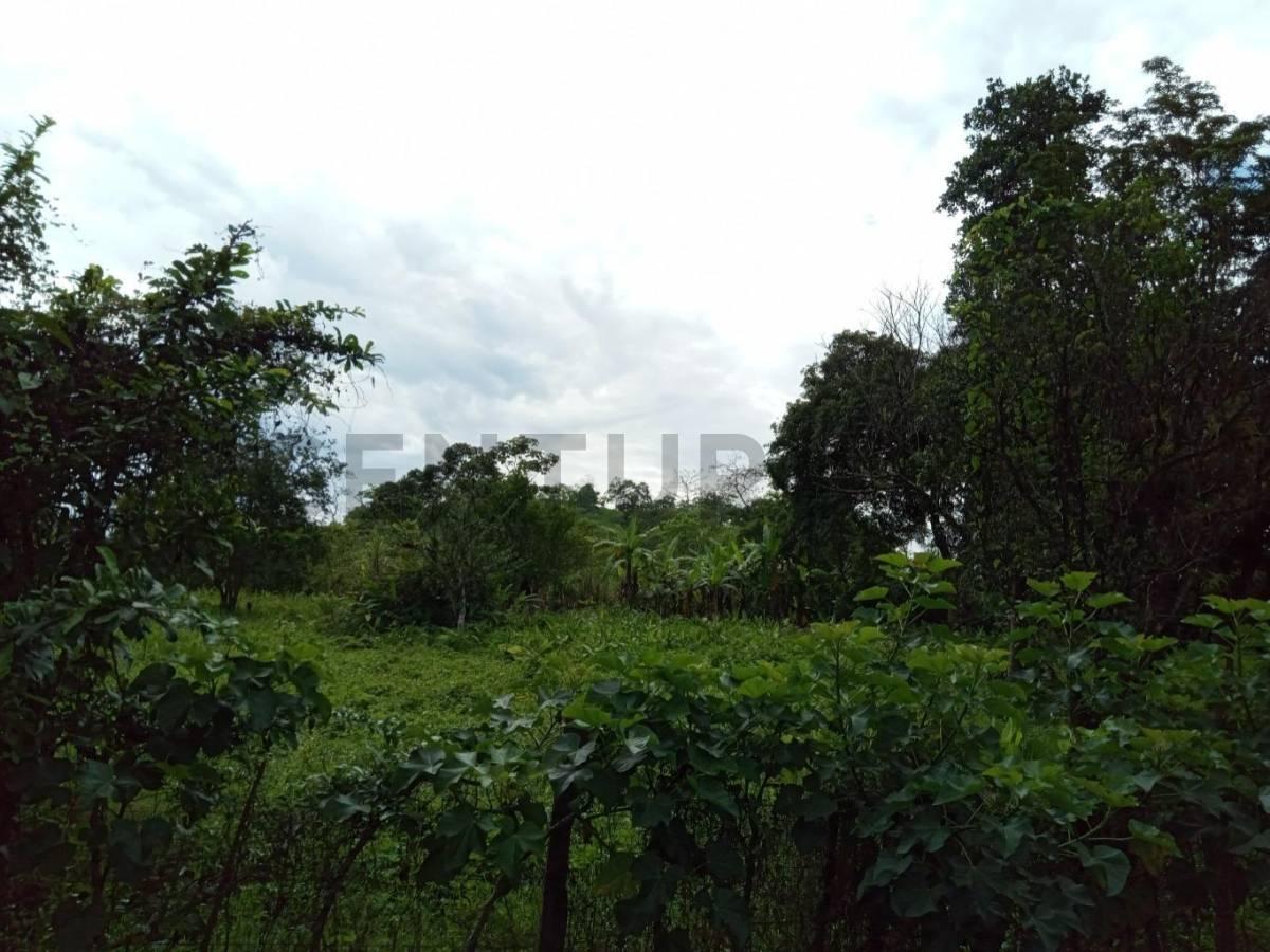 Venta de Una Hectárea en El Sitio Manantiales de Montecristi Lista Para Fincar, Manabí — imagen 2
