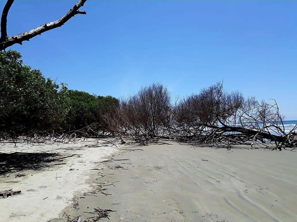 Terreno en Isla Jupiter en Venta — imagen 10