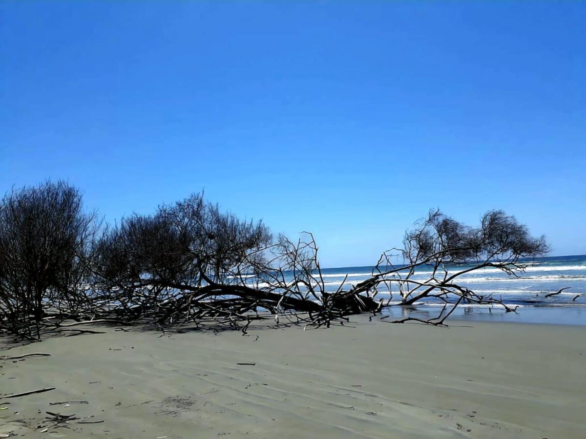 Terreno en Isla Jupiter en Venta — imagen 9