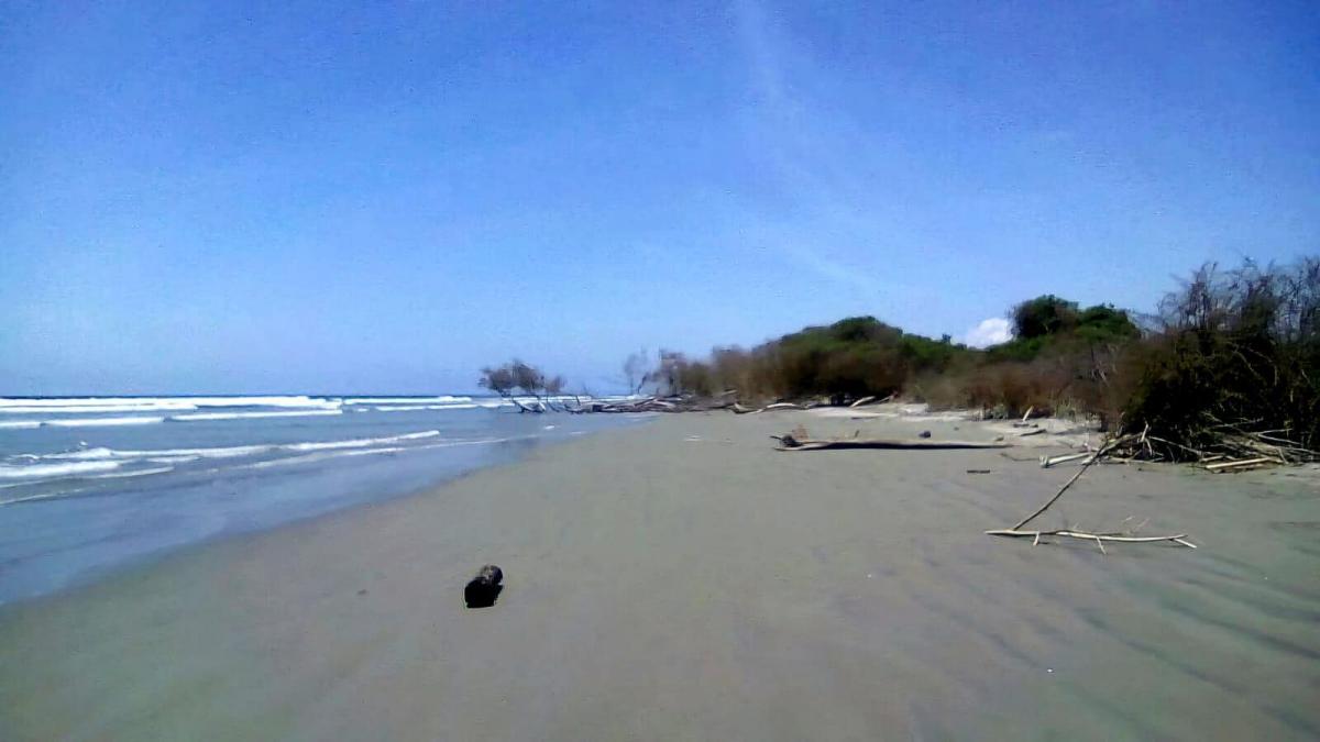 Terreno en Isla Jupiter en Venta — imagen 8