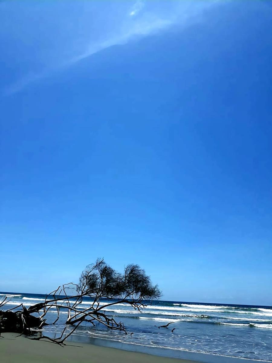 Terreno en Isla Jupiter en Venta — imagen 7