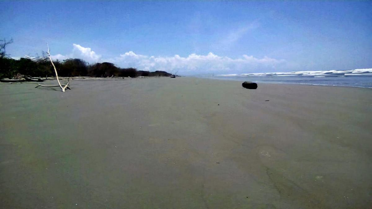 Terreno en Isla Jupiter en Venta — imagen 6