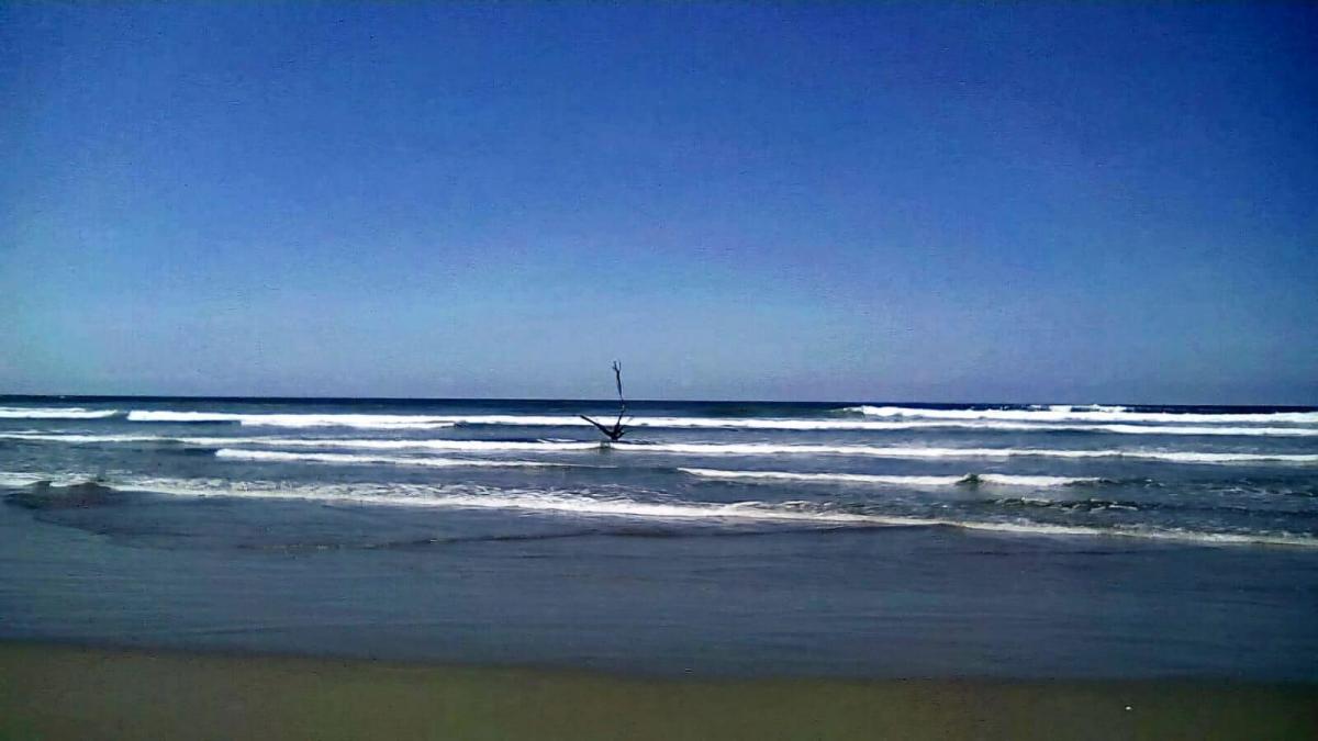 Terreno en Isla Jupiter en Venta — imagen 5