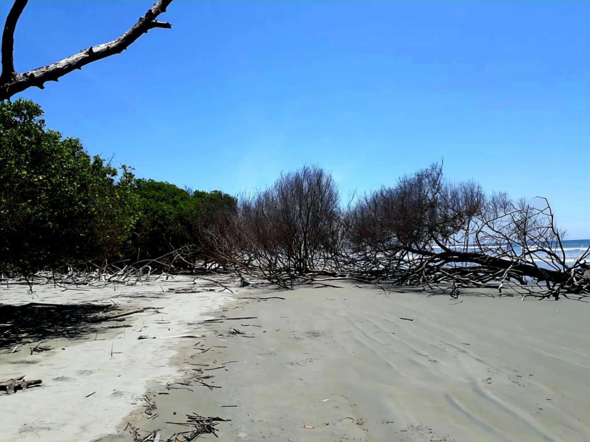 Terreno en Isla Jupiter en Venta — imagen 4