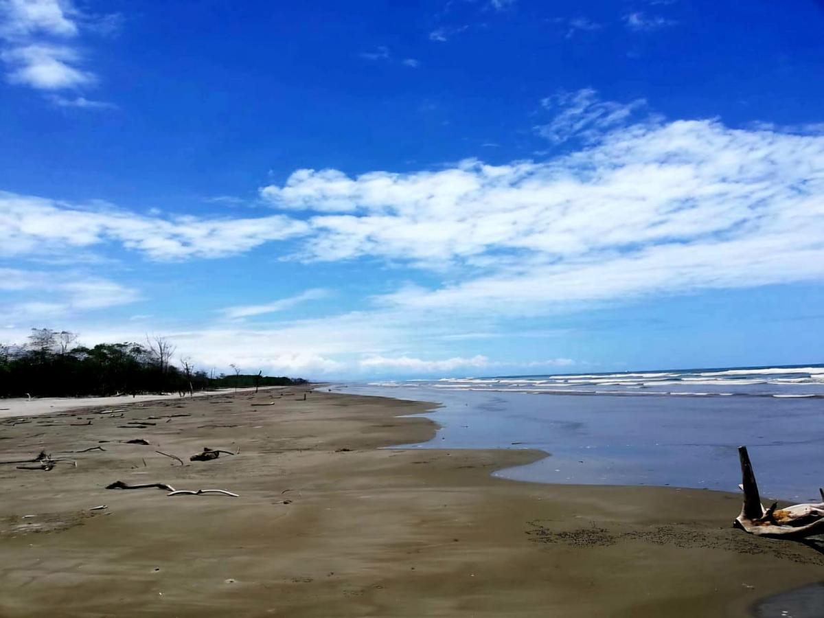 Terreno en Isla Jupiter en Venta — imagen 3