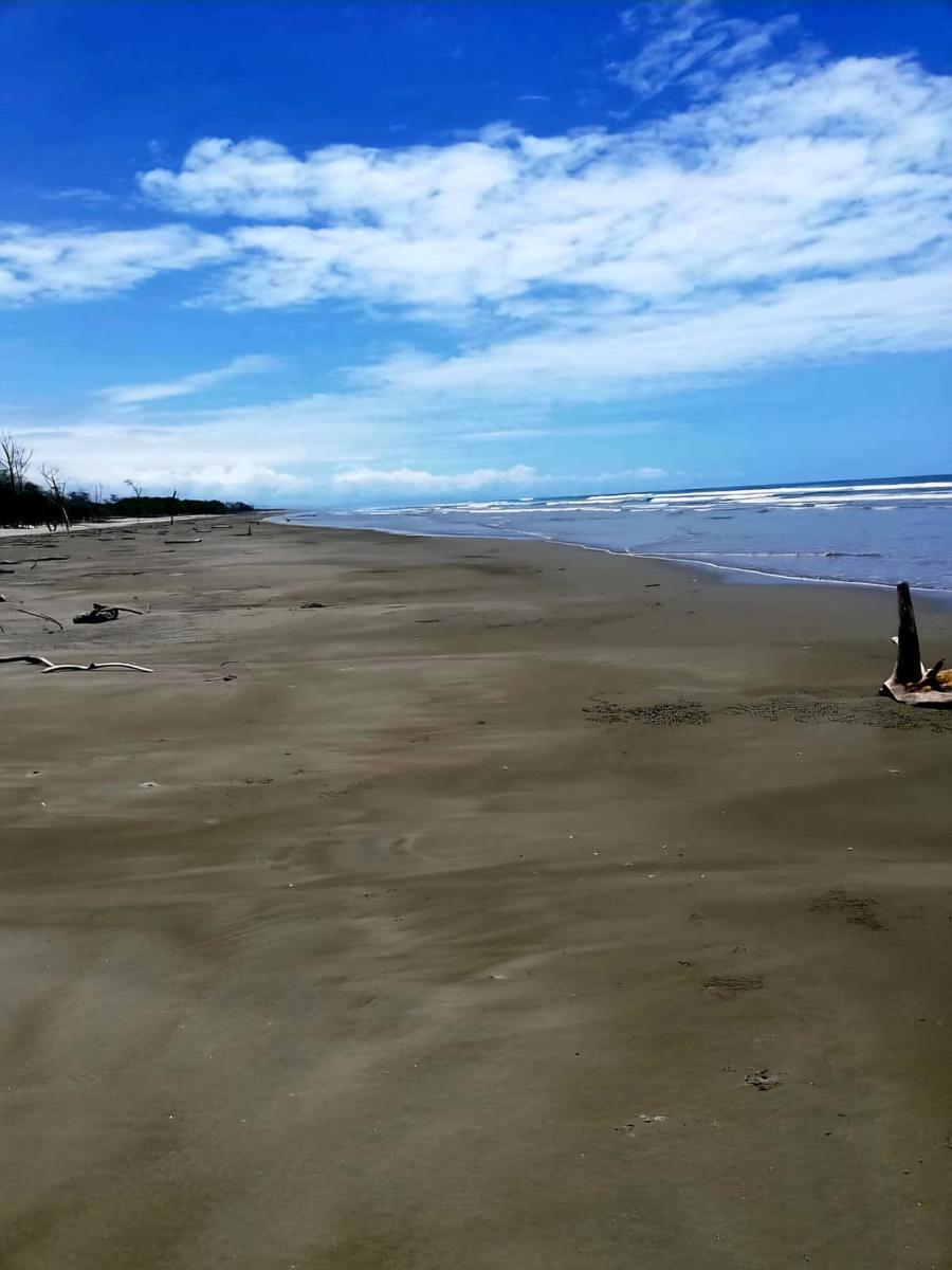 Terreno en Isla Jupiter en Venta — imagen 2