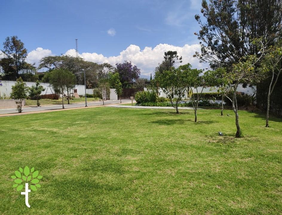 Terreno de 366 m² Dentro de Urbanización de Lujo Tumbaco — imagen 9