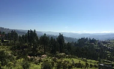 Terreno en venta en Ricaurte — imagen 5