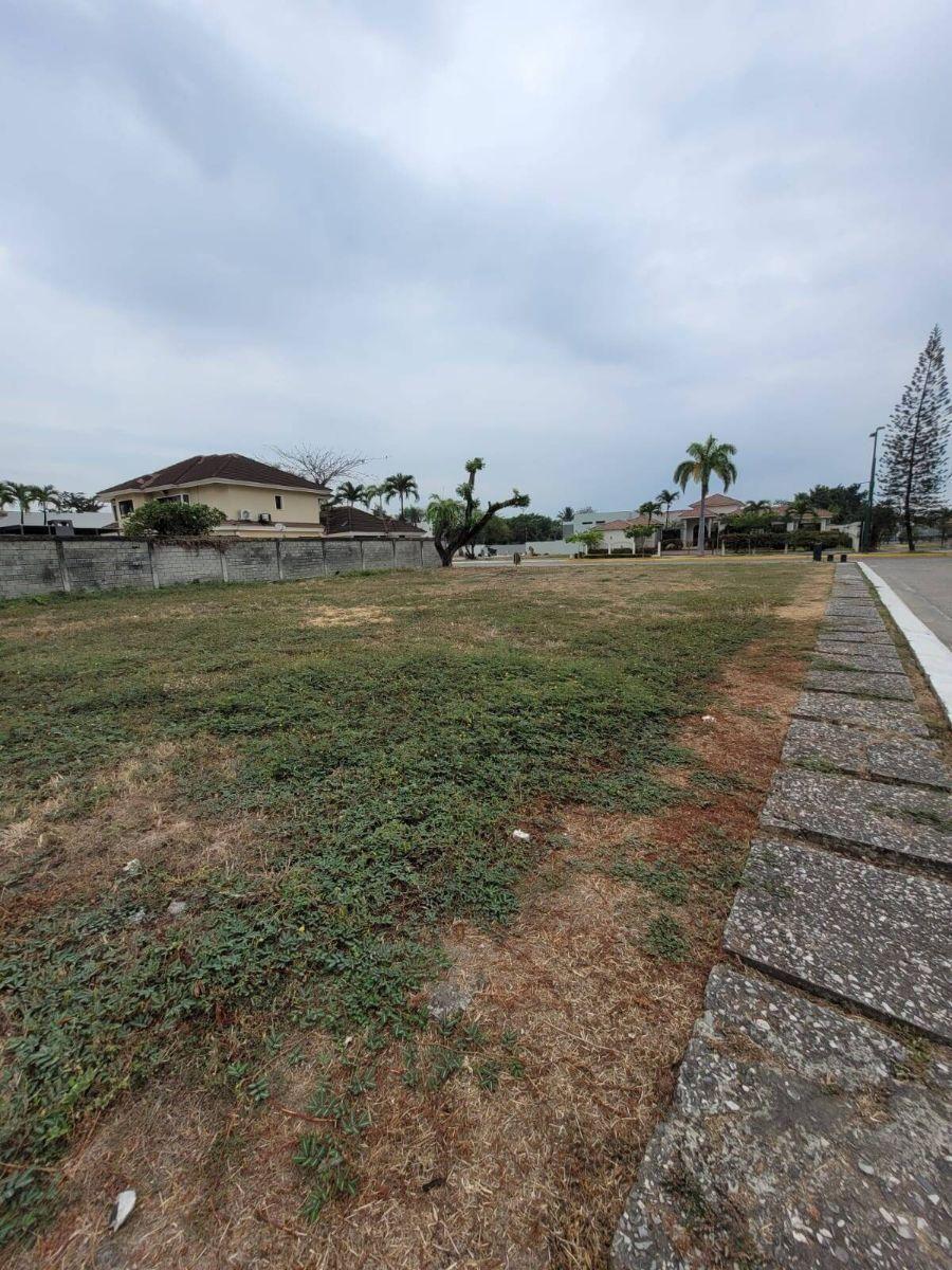 Terreno Residencial en Venta. samborondon - La Castellana Mae. Recalde, Guayas — imagen 7