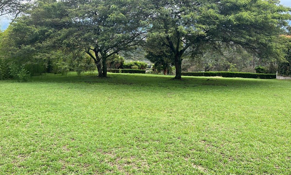 Cumbaya Terreno de Venta en Urbanizacion Exclusiva — imagen 10