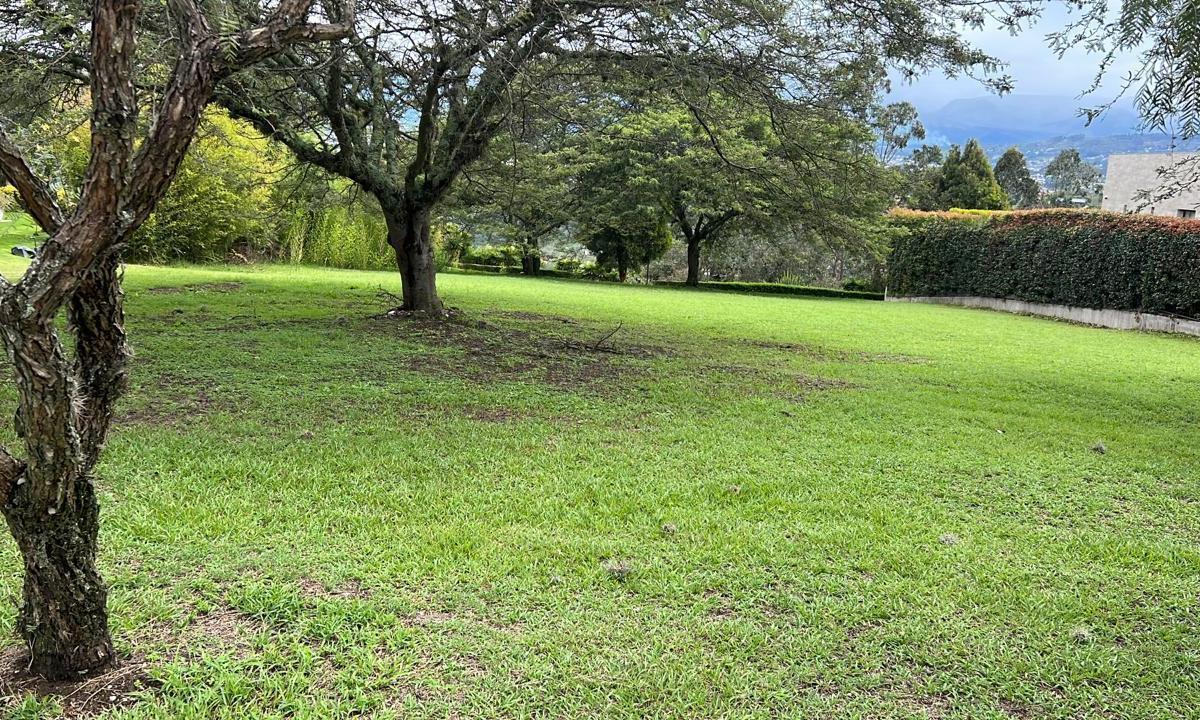 Cumbaya Terreno de Venta en Urbanizacion Exclusiva — imagen 9