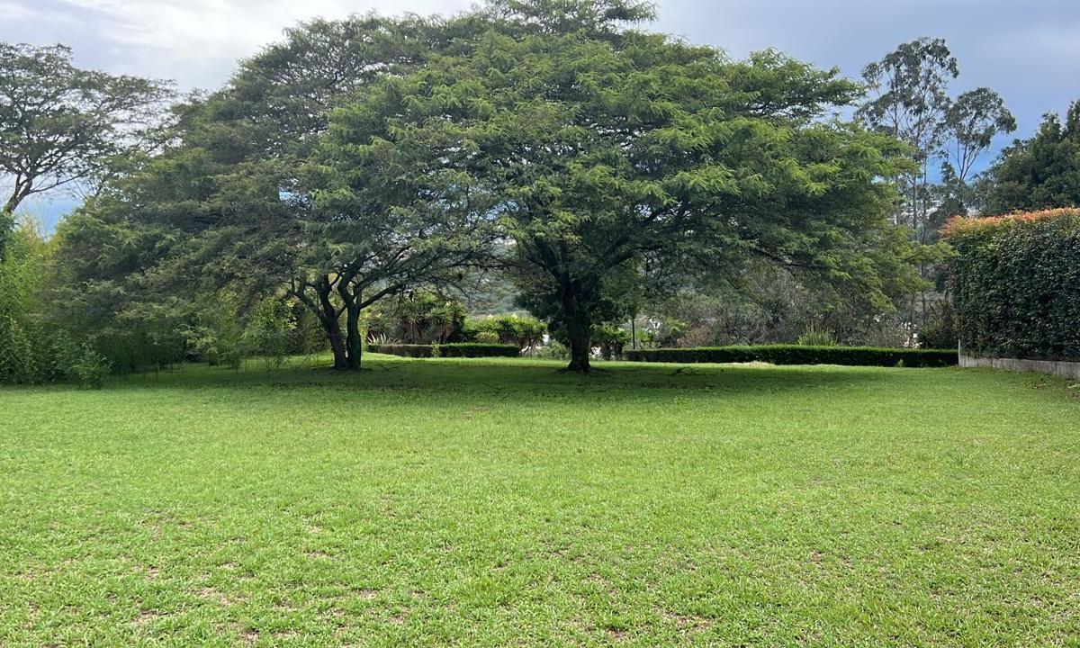 Cumbaya Terreno de Venta en Urbanizacion Exclusiva — imagen 8