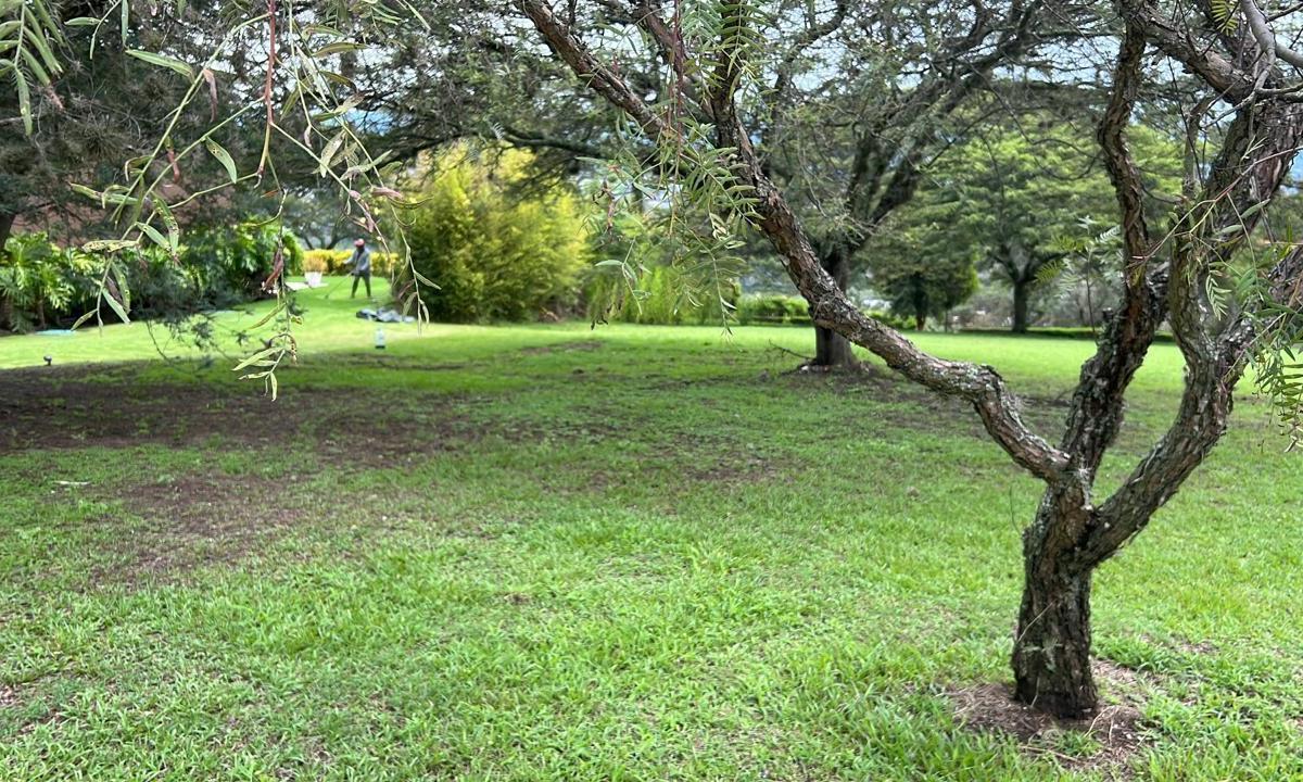 Cumbaya Terreno de Venta en Urbanizacion Exclusiva — imagen 7
